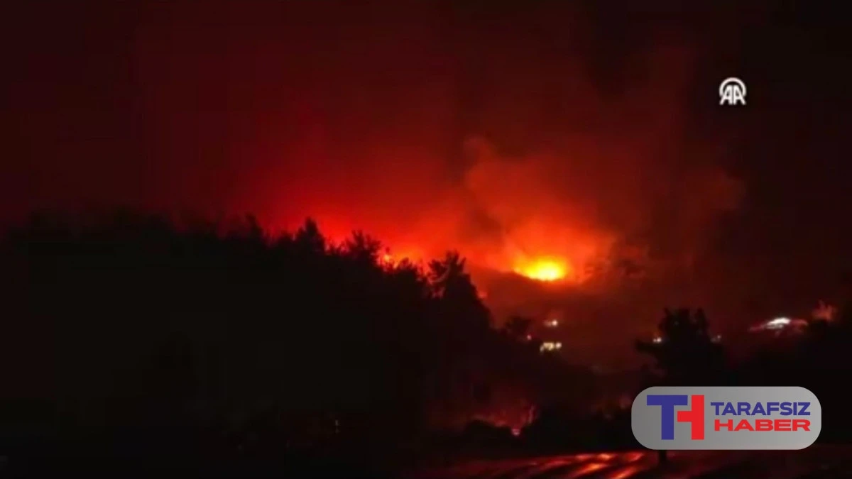 Antalya'da ormanlık alanda &ccedil;ıkan yangın kontrol altına alındı