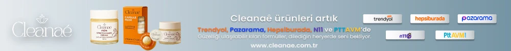 cleanae web