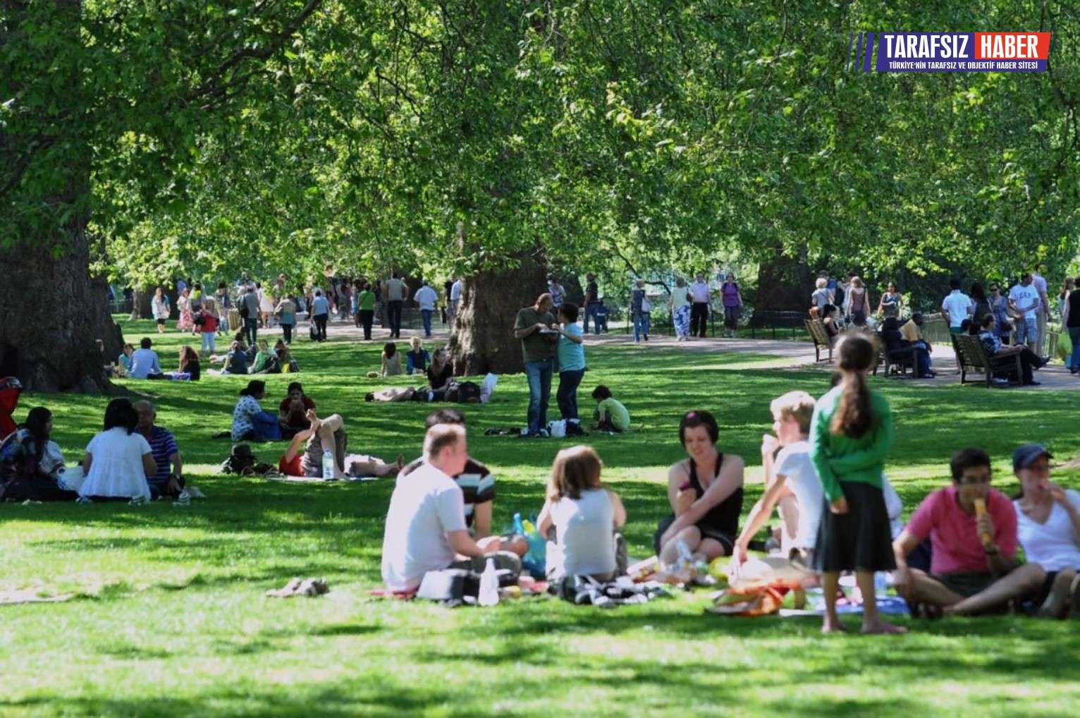 She s in the park. Холланд парк пикник. Люди в парке. Пикники в парках. Пикник в парке.