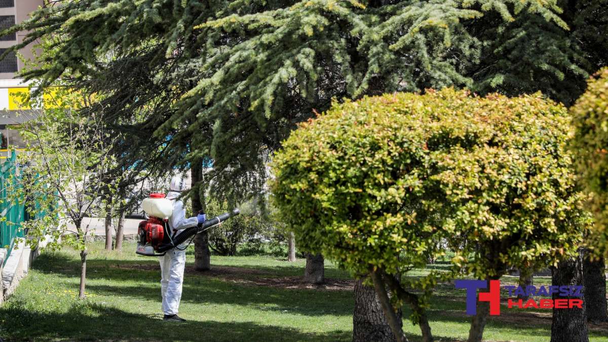 Etimesgut Belediyesi İlaçlama Çalışmalarına Başladı 