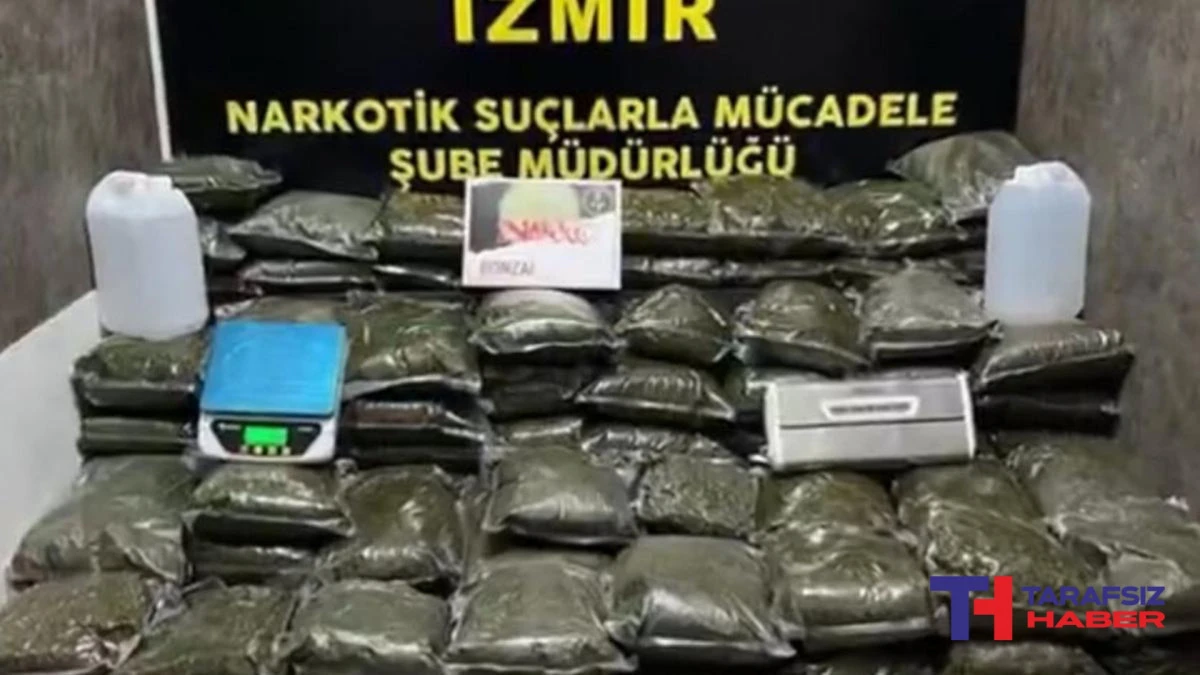 İzmir'de 126 kilogram bonzai ele geçirildi