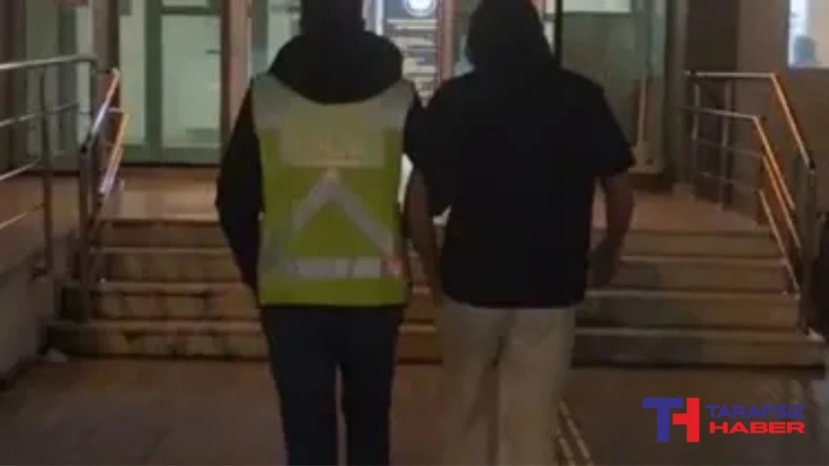 Levyeli trafik magandası yakalandı