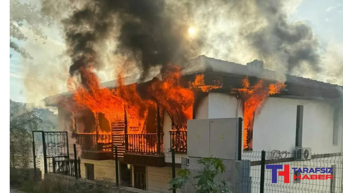 Muğla Gökova'yı birbirine katan saldırgan vuruldu: Evleri ateşe verdi, jandarmaları bıçakladı