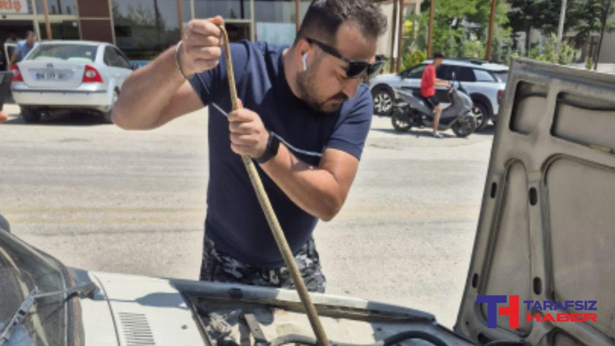 Otomobilin motoruna giren yılanı sopayla çıkardı