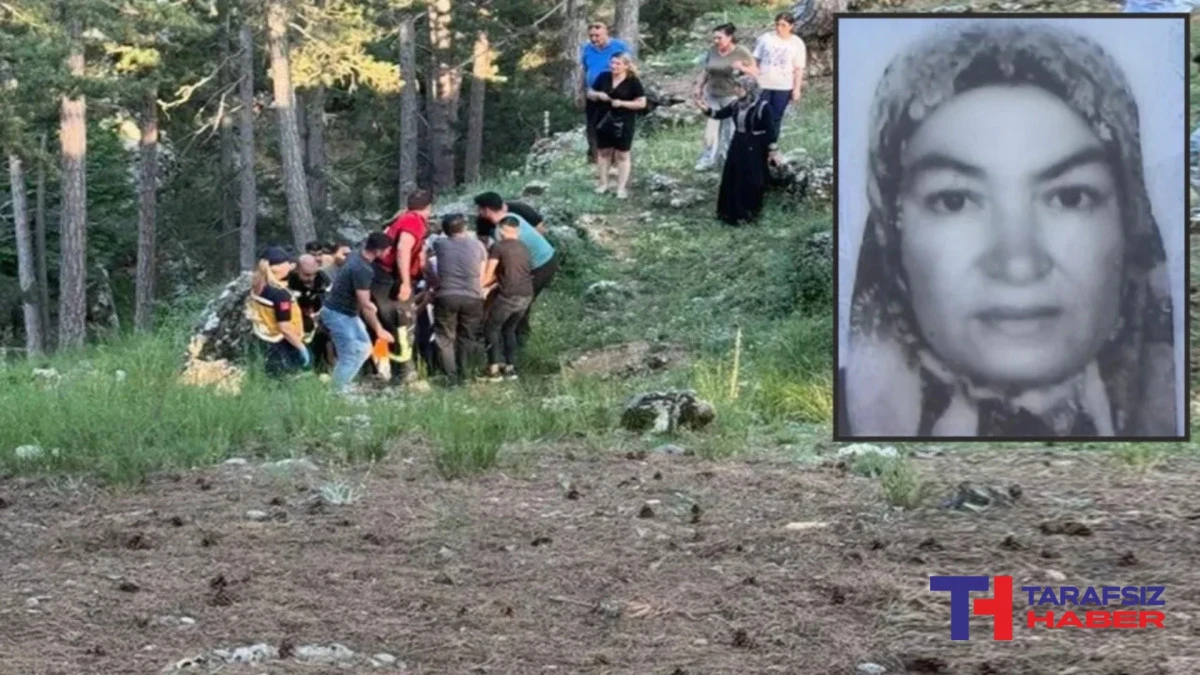 Piknikte feci olay! Kekik toplamaya giden kadın kabusu yaşadı
