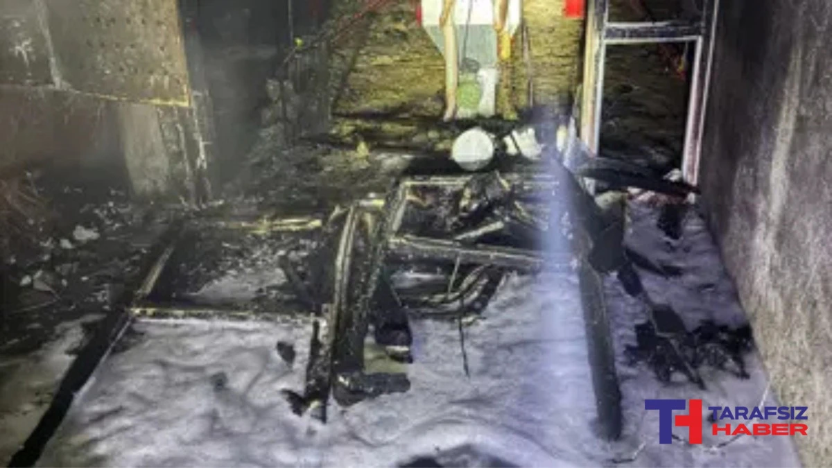 Tavuk çiftliğinde yangın çıktı, 5 bin civciv öldü